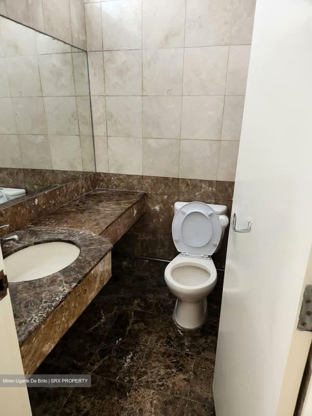 Villa Delle Rose (D10), Condominium #609636851